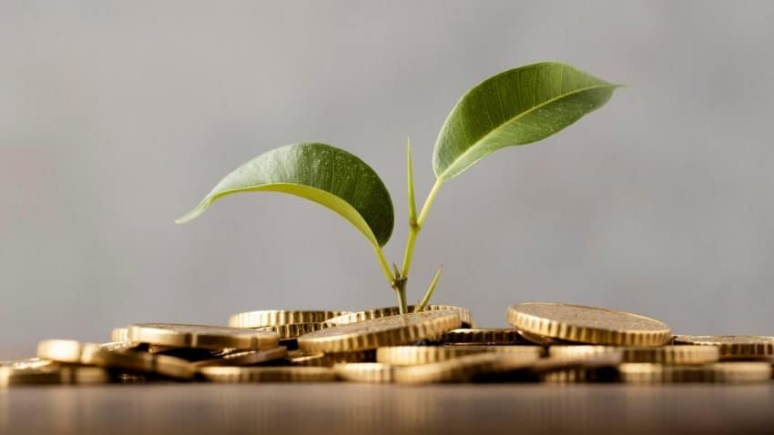 Melli Bank’s Kindness Plan loan (3)