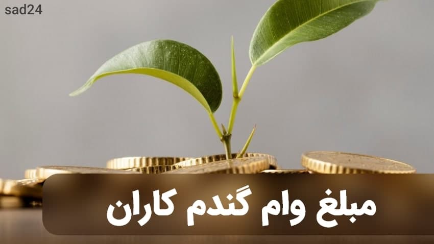 مبلغ وام بسته گندم بانک کشاورزی