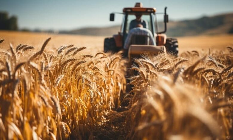 وام ویژه گندمکاران