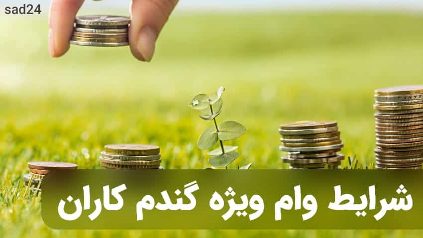 شرایط وام بسته گندم بانک کشاورزی